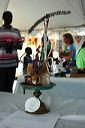 nb_aug_0151