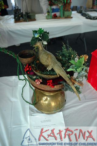 nb_aug_0154.jpg